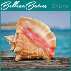 Curso Online de Empoderamiento Majestuoso de la Concha