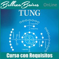 Curso Online de Master en Auriculoterapia TUNG - CON REQUISITOS Curso Online de Master en Auriculoterapia TUNG - CON REQUISITOS