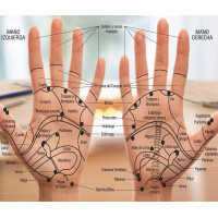 Curso Online de Reflexología Palmar Avanzada: Terapia Manual para el Bienestar Integral