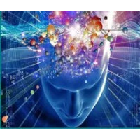 Máster Online en Biodescodificación: Sanación Emocional y Bienestar Integral