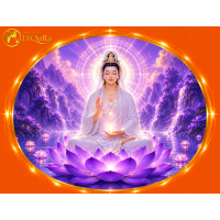 Curso Online de Magnified Healing Curso Online de Magnified Healing